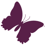 MLD Foundation butterfly logo