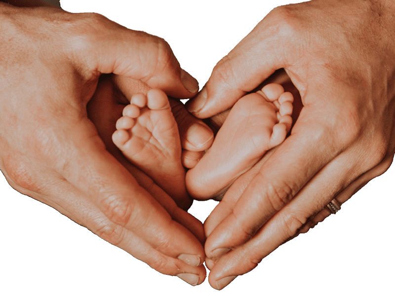 newborn baby feet inside parents heart cupped hands