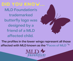 03 Faces of MLD butterfly
