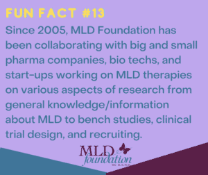 13 MLD research collaborations